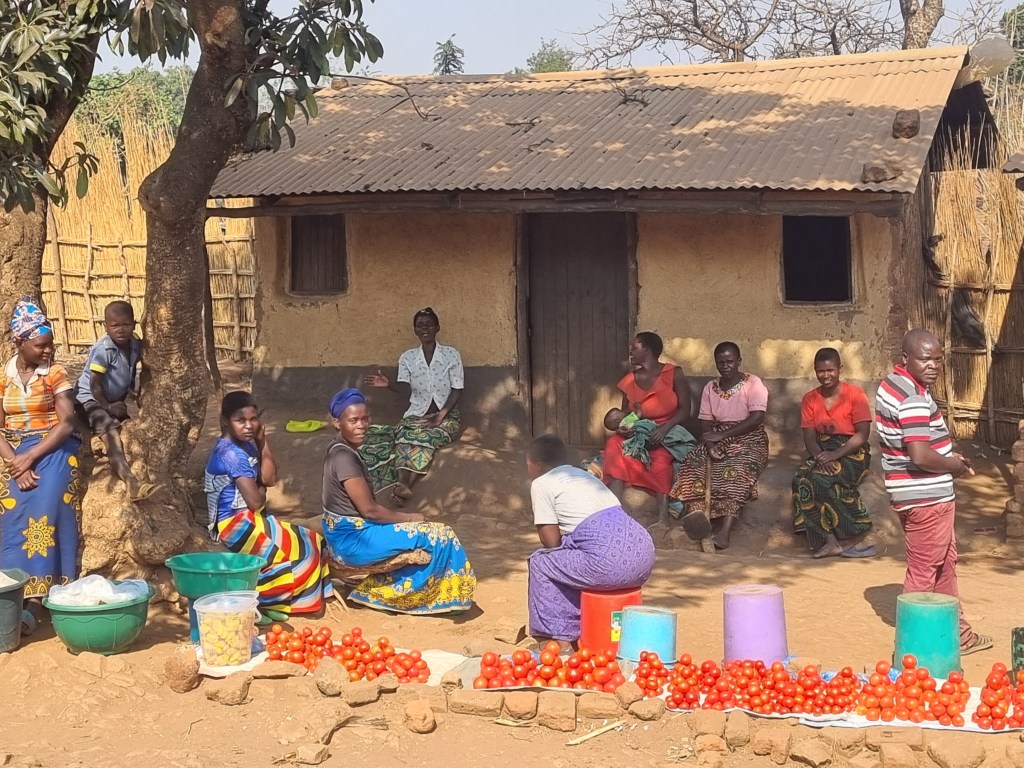 Malawi Africa village