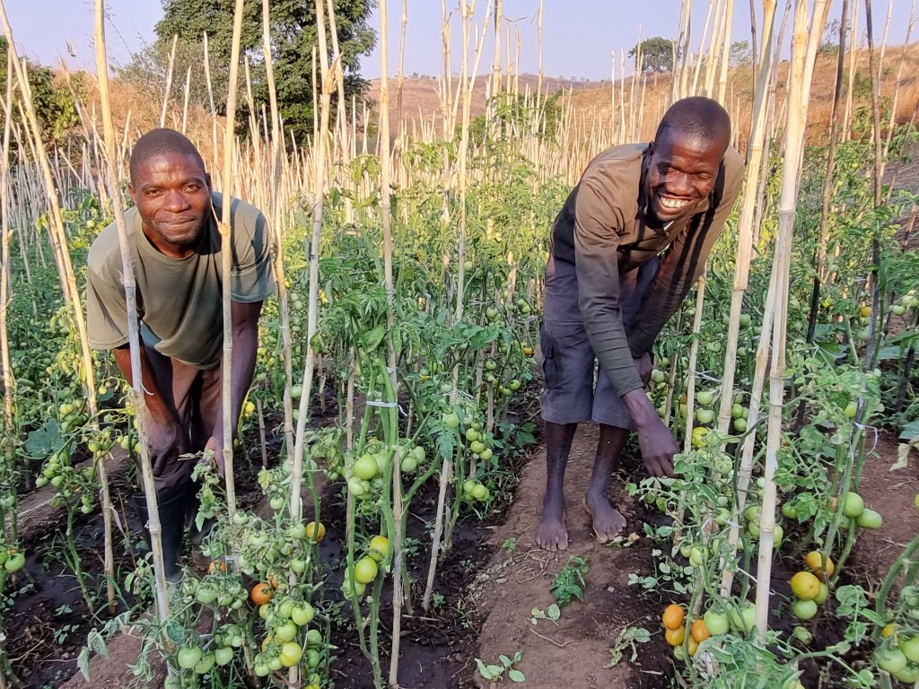 Men working in the Malawi village garden
